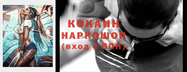 кокс Алексин