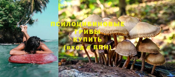 дурь Лихославль
