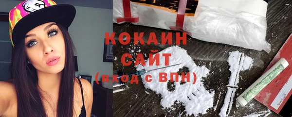 кокс Алексин